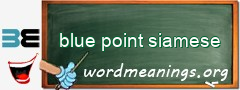 WordMeaning blackboard for blue point siamese